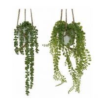 Pianta Grassa artificiale da appendere