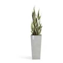Ecopots - Vaso Quadrato Alto Rotterdam Grigio Chiaro 32x32xh70cm