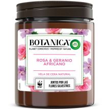 Botanica by Air Wick - Vela Aromática Perfumada, Ambientador Esencia Para Casa Con Aroma A Rosa y Geranio Africano - 205gr