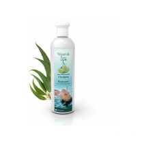Camylle - Parfum de Spa à base d'huiles essentielles à l'Eucalyptus 250 ml