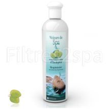 Parfum De Spa À Base D'Huiles Essentielles À L'Eucalyptus Camylle 250 Ml