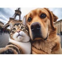 Mercury - velvet cat & dog selfie paris 45X75 007798-1