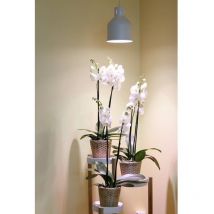 Venso Paralume Saga 22 cm 230 v E27 18 w 1 pz.