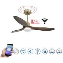 Tenerife - Super destratificateur et ventilateur DC 132 cm laiton avec lumière pales bois sombre idéal 25 à 40 m²