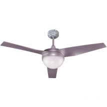 Ventilador de techo con luz Classic Plata