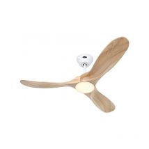 Casafan - Ventilador de techo Eco Genuino-L 122 mw-nt