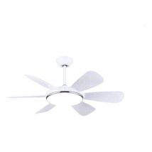 Ventilateur De Plafond Dc