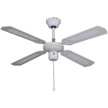 Ventilateur de plafond 10