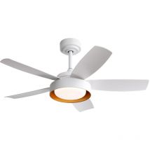 Eifson - Ventilateur de Plafond 106cm, avec 5 Pales abs, Lumière led 22W, 6 Vitesses, Télécommande, Moteur dc Réversible, pour Salon et Chambre