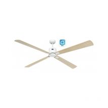 Casafan - eco neo iii 180cm Ventilateur de plafond avec WiFi eco neo iii 180cm 943426W Maple / Maple And Beech
