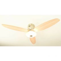 Aireryder - Ventilateur de plafond Aero avec lumière et télécommande