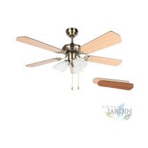 Suinga - Ventilateur de plafond Orbegozo avec lumière, 5 pales réversibles, 105 cm, 3 vitesses, CT23105