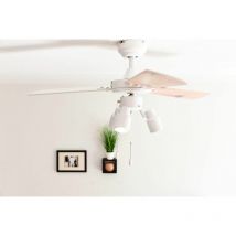 Aireryder - Ventilateur de plafond Cyrus Blanc avec éclairage