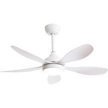 Okwish - Ventilateur de plafond de 42 pouces avec lumière et télécommande, moteur réversible à 6 vitesses cc