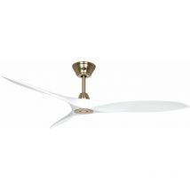 Ventilateur de plafond dc Eco Airscrew mg-mw