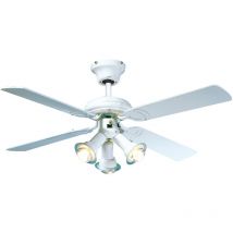 Securitegooddeal - Ventilateur de plafond maldives 55W Ø107cm