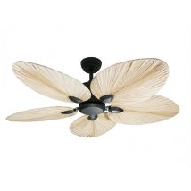 Ventilatore da soffitto AC nero con pale 132cm per 30m2 KLASSFAN PALM BEACH BK P