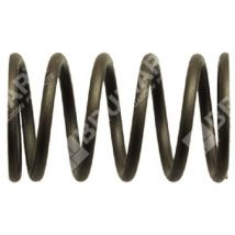 Ventilfeder für Ducar Motorpumpen - 038571