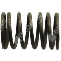 Ventilfeder für TAYA-Motoren Sandrigarden 013420