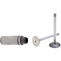 Ventilsatz Mit Motorventilführung Ruggerini Rf90 Rf120 Rf130 Rf140 Rd210