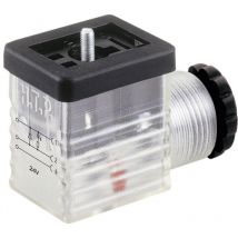 Ventilstecker Transparent Pole:2 + pe M2TS2DL1 HTP Inhalt: 1 St.