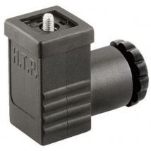 HTP - Ventilstecker Schwarz P1NZ2000-H Pole:2 + pe P1NZ2000 Inhalt: 1 St.