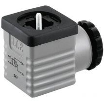 HTP - Ventilstecker mit Brückengleichrichter Grau Pole:2 + pe G1GU2RV1 Inhalt: 1 St.