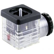 Ventilstecker mit Funktionsanzeige (Bauform a) Transparent Pole:2 + pe G1TU2L01 HTP Inhalt: 1 St.