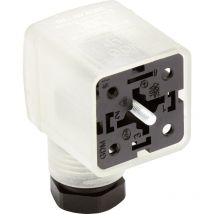 Lumberg Automation - Ventilsteckverbinder Serie Gdm21f6 Transparent Gdm21f6-v24-10d 934888034 Inhalt: