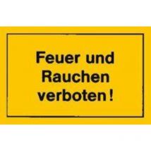 Verbotsschild 250x150mm Feuer und Rauchen verbot