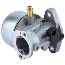 Vergaser für 497586 498170 799868 498254 497314