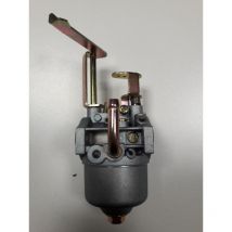 Vergaser lg/gt/t/r pubert