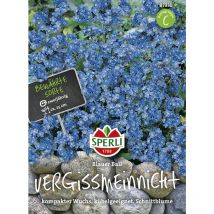 Vergißmeinnicht Blauer Ball - Blumensamen - Sperli