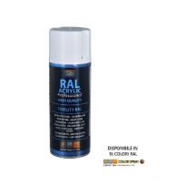 Vernice acrilica spray RAL7001 Grigio Argento