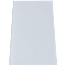 Verre de rechange pour modele 300 Aric 1207