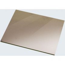 Verre Golden Protane 108x51mm teinte 9