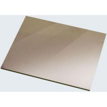 Verre Golden Protane 133x114mm teinte 13