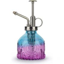 Verre Plantes Vaporisateur D'arrosage, 200ml Rétro avec Pompe Supérieure Arrosoir, Pulvérisateur Brumisateur