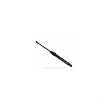 Verrin de porte micro onde pour Four micro-ondes - C00136997 SCHOLTES