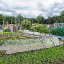 Gartentunnel mit Pop-up-Funktion – 45 m – Strapazierfähiges Netz – Pflanzenschutz vor Vögeln, Insekten und Schnecken
