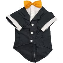 Vêtements d'automne et d'hiver pour chiens, vêtements d'hiver pour animaux de compagnie, vêtements de mariage(S)