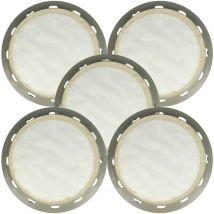 5x filtre compatible avec Electrolux uz 923, uz 921, uz 922, uz 925 Profi Power, uz 920 Profi Power aspirateur - filtre hepa gris / blanc - Vhbw