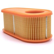 1x filtre compatible avec Briggs & Stratton dov 111P02-0003-F1, 111P02-0002-F1, 111P02-0005-F1, 111P02-0004-F1, 111P02-0110-F1 tondeuse à gazon - Vhbw