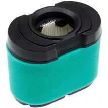 Vhbw - 1x filtro de espuma, 1x filtro papel compatible con John Deere LA155, Z225, Z245, X130R, Toro, LA175, LA165 tractor cortacésped o con conductor