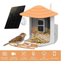 Vicohome - Dispenser per Uccelli con Telecamera Smart WiFi e Pannello Solare
