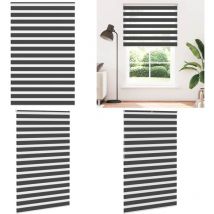 Vidaxl - Store zèbre noir 150x200 cm largeur du tissu 145,9 cm polyester