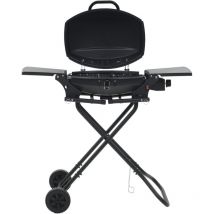 VidaXL Gasgrill Tragbar mit Kochzone Schwarz