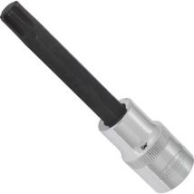RIBE Schraubendreher-Einsatz ∙ V2216 ∙ 1/2 Zoll (12,5 mm) Vierkant hohl ∙ Innen Keilprofil Ribe-CV ∙ SW M10