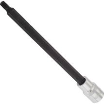 T Schraubendreher-Einsatz ∙ V2179 ∙ 1/2 Zoll (12,5 mm) Vierkant hohl ∙ Innen TORX Profil ∙ SW T40