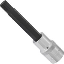 Screwdriver socket for screws with internal serration (xzn) ∙ V2059 ∙ Attacco quadro, cavo, 1/2 di pollice (12,5 mm) ∙ Profilo poligonale interno xzn